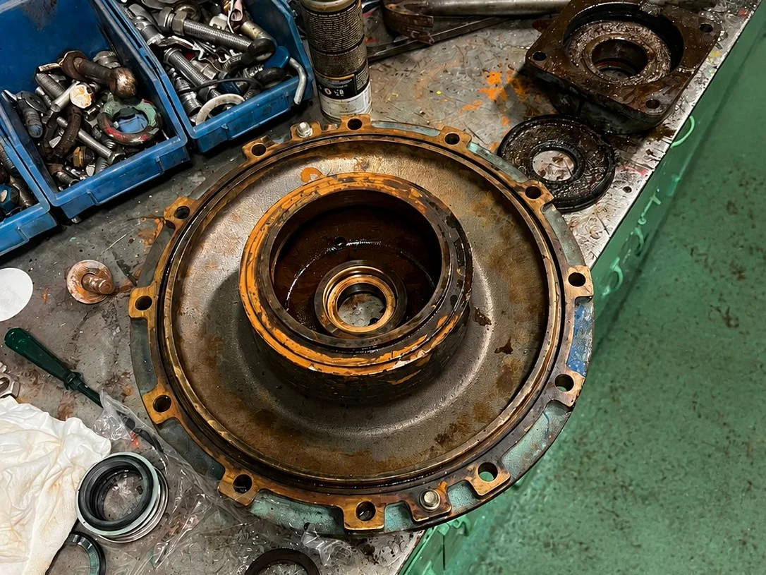 Bearing housing stripped down on a WF Service workbench, with seals and components laid out for inspection
